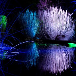 Gruga leuchtet...... Jürgen Herborn 